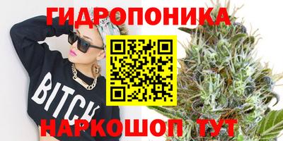 a pvp Гусев